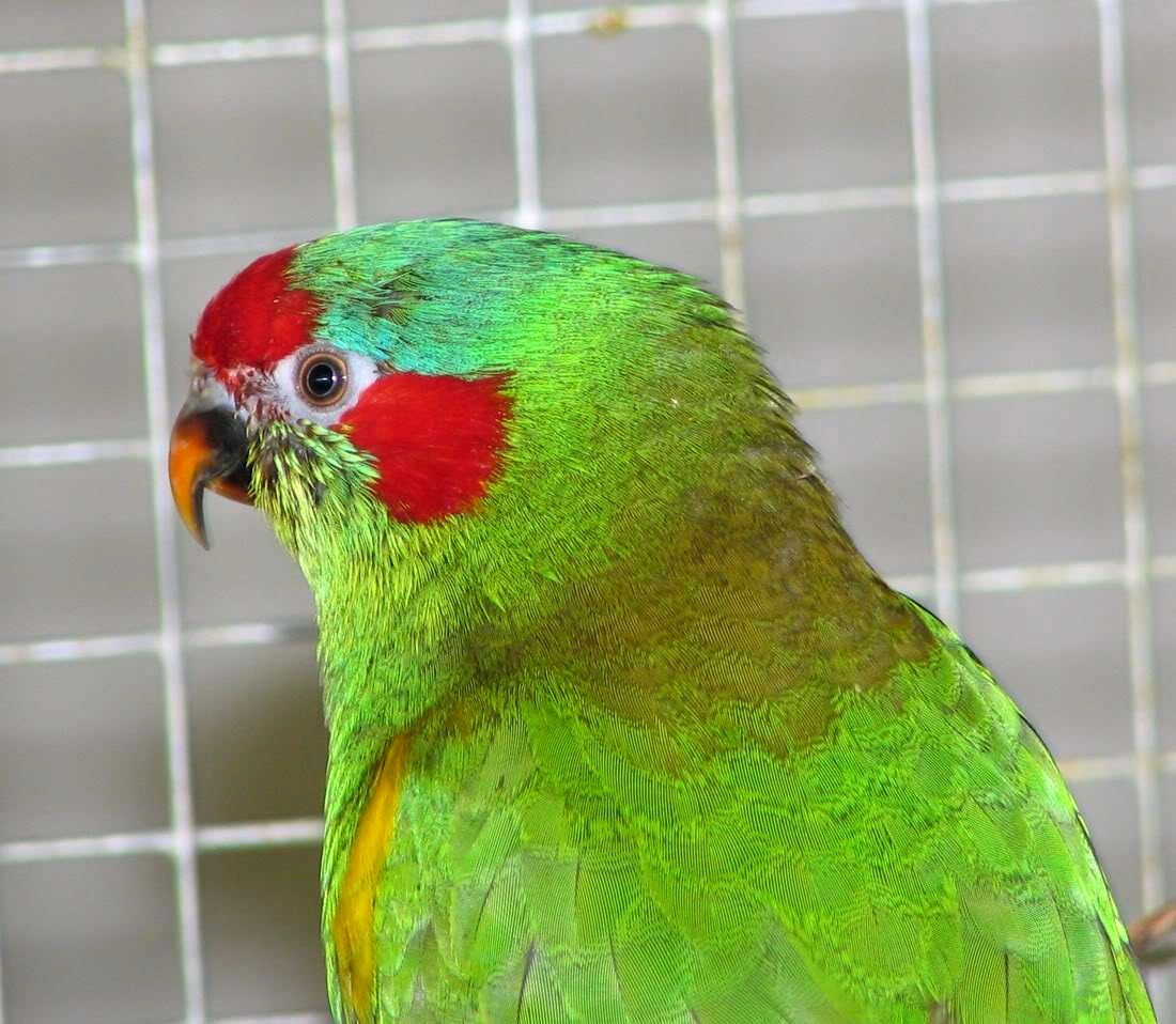 Foto 4